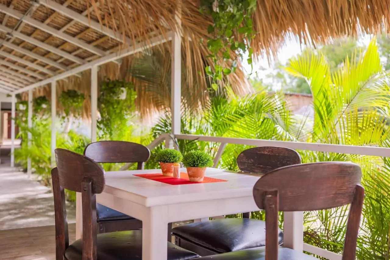 Hotel Playa Tropical Punta Cana Dominican Republic
